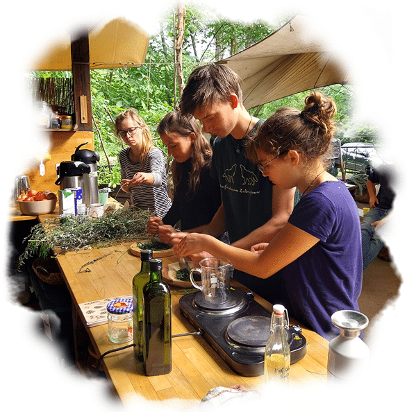Kräuterpädagogik-Ausbildung-Salbenherstellung