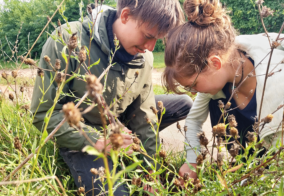 Kräuterpädagogik-Ausbildung-Wurzelngraben Essbare Pflanzen Survival